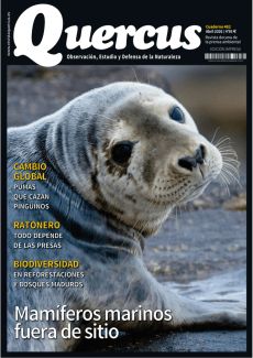 MAMÍFEROS MARINOS FUERA DE SITIO